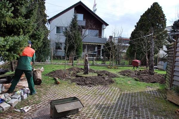 Baum mit Winde herausziehen